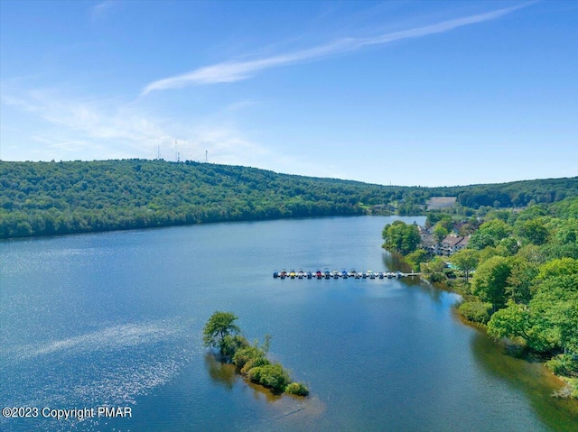 property view of water featuring a forest view