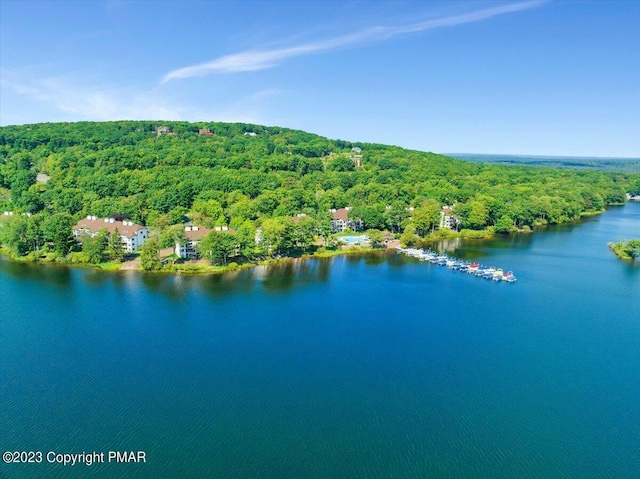 birds eye view of property featuring a water view and a view of trees