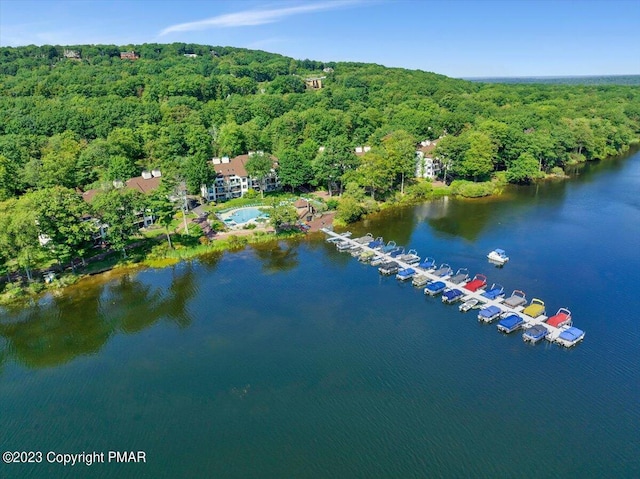 drone / aerial view with a water view and a view of trees