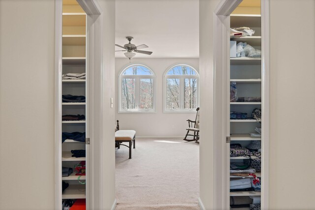 spacious closet with carpet flooring and a ceiling fan