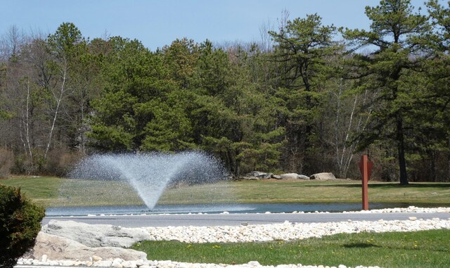 water view featuring a wooded view