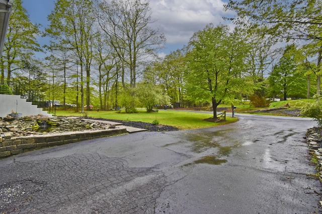 view of road featuring view of scattered trees
