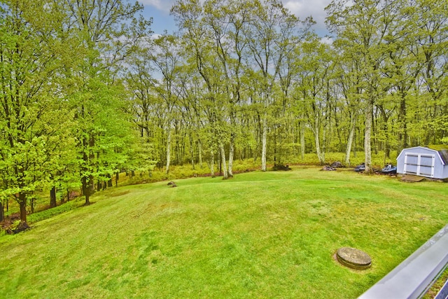 view of green lawn with a storage shed and an outbuilding