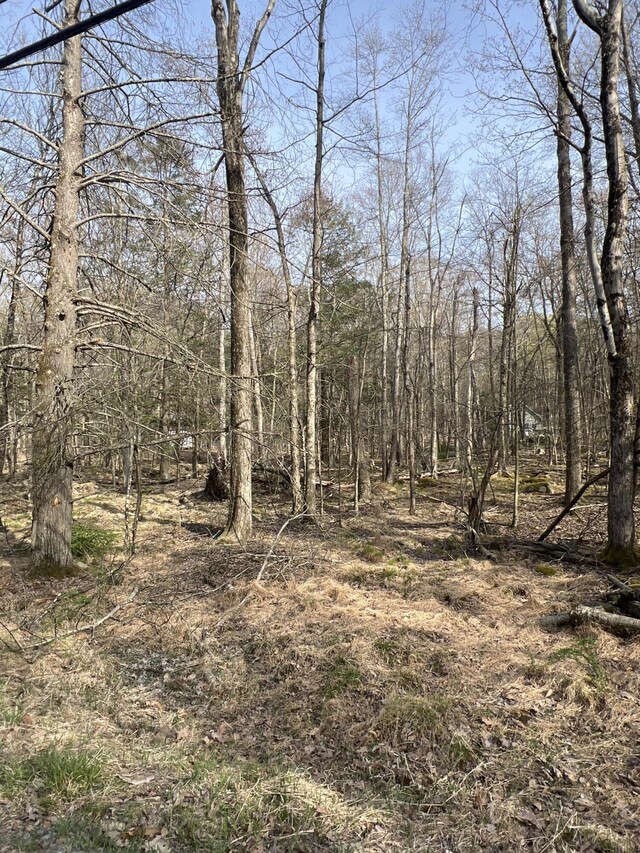 LOT720 Elk Run Rd, Pocono Lake, PA 18347