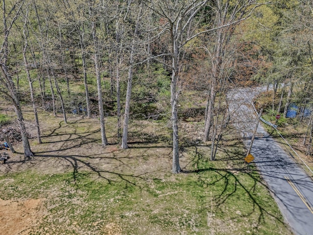 23 Primrose Dr, East Stroudsburg, PA 18302 - view of nature