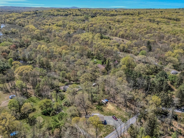 23 Primrose Dr, East Stroudsburg, PA 18302 - bird's eye view featuring a view of trees