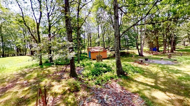 view of yard with a shed and an outbuilding
