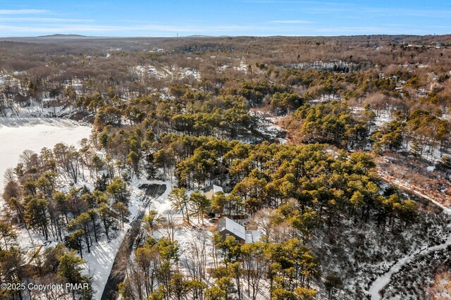 snowy aerial view featuring a mountain view