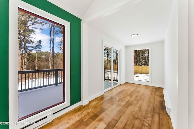 entryway with hardwood / wood-style flooring