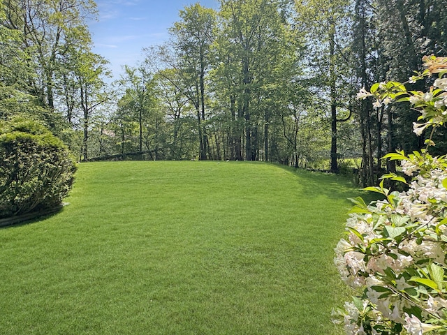 5119 Derby Rd, Tobyhanna, PA 18466 - view of grassy yard