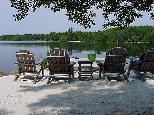 165 Stillwater Dr, Pocono Summit, PA 18346 - dock with a water view and a wooded view