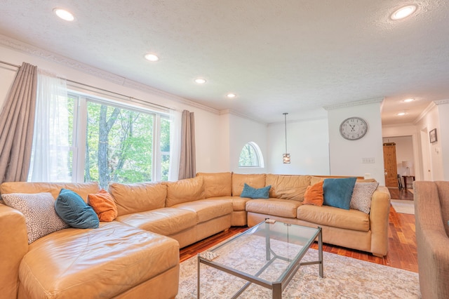 165 Stillwater Dr, Pocono Summit, PA 18346 - living area featuring crown molding, wood finished floors, healthy amount of natural light, recessed lighting, and a textured ceiling