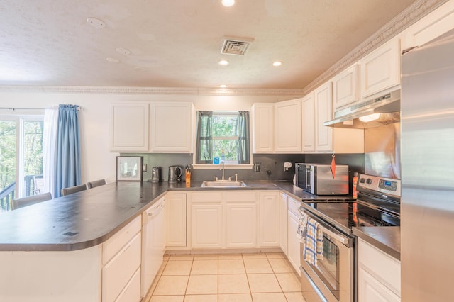 165 Stillwater Dr, Pocono Summit, PA 18346 - kitchen featuring stainless steel appliances, under cabinet range hood, a peninsula, a sink, and plenty of natural light