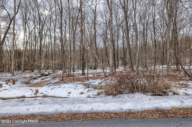 Pocono Mountain Lake Dr, Bushkill PA, 18324 land for sale