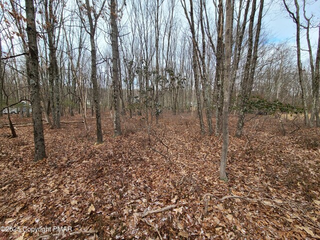 Listing photo 2 for LOT132 Woodcrest Ave, Effort PA 18330