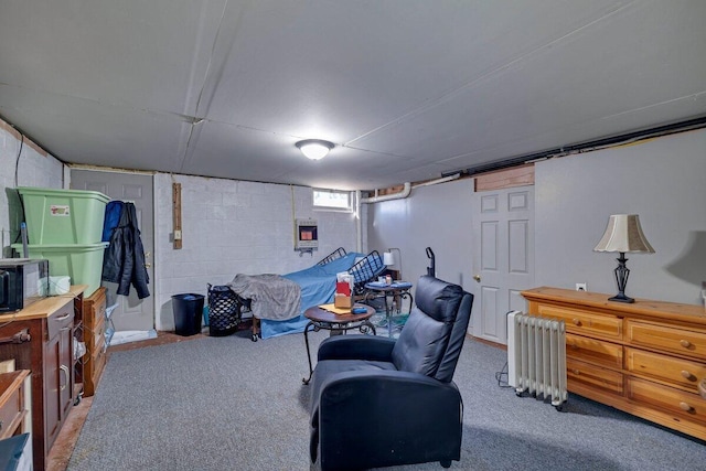 interior space with carpet and radiator heating unit