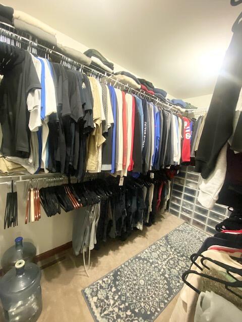 5132 Pocono Park Ln, Swiftwater, PA 18370 - walk in closet featuring carpet flooring