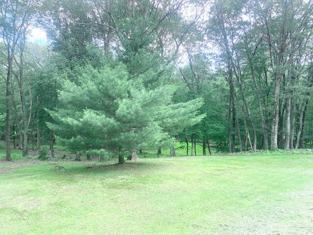 5132 Pocono Park Ln, Swiftwater, PA 18370 - view of grassy yard with a wooded view