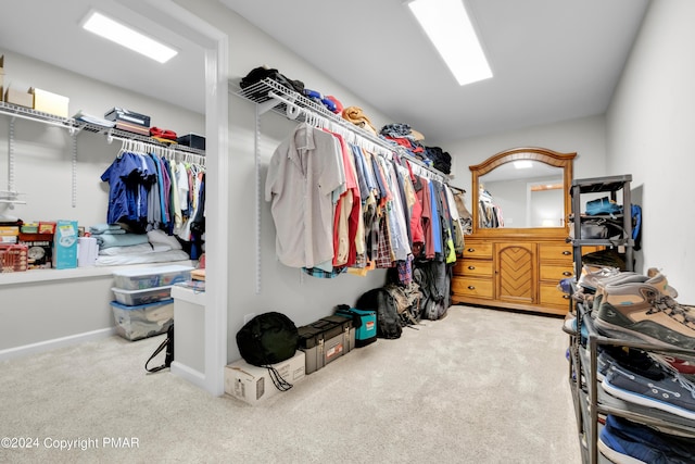 spacious closet with carpet