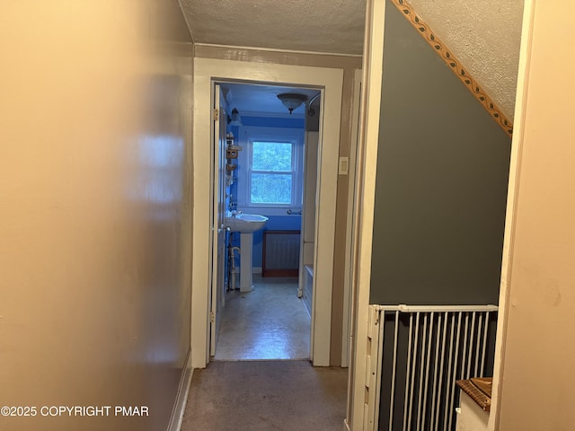 1103 Mill Street 101 & 103, Tobyhanna, PA 18466 - photo 12