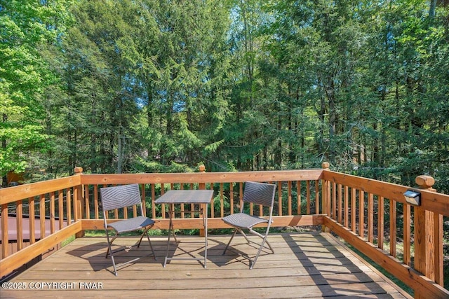 572 Sir Jeoffrey Ct, Pocono Lake, PA 18347 - photo 8
