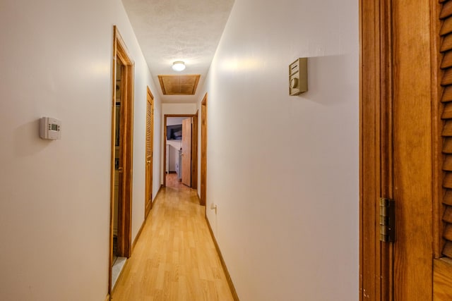 113 Larsen Ln, Cresco, PA 18326 - corridor with light wood-style flooring and baseboards