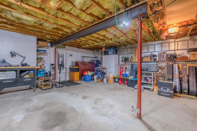 113 Larsen Ln, Cresco, PA 18326 - view of unfinished basement