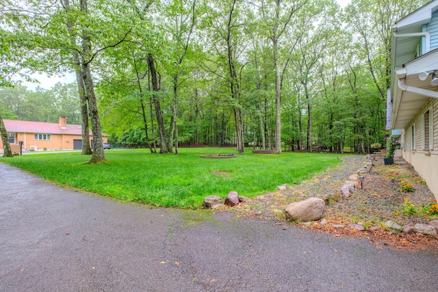 113 Larsen Ln, Cresco, PA 18326 - view of green lawn