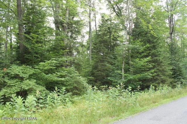 517 E Forest Rd, Pocono Lake PA, 18347 land for sale