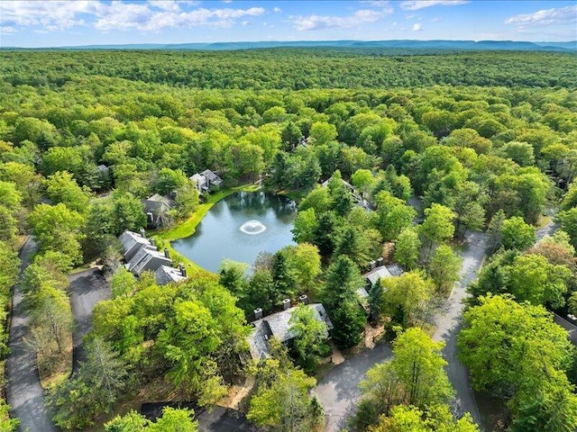 216 Snow Ridge Cir, Lake Harmony, PA 18624 - aerial view of a heavily wooded area and a nearby body of water