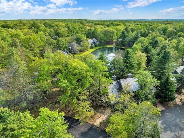 216 Snow Ridge Cir, Lake Harmony, PA 18624 - aerial view of a forest