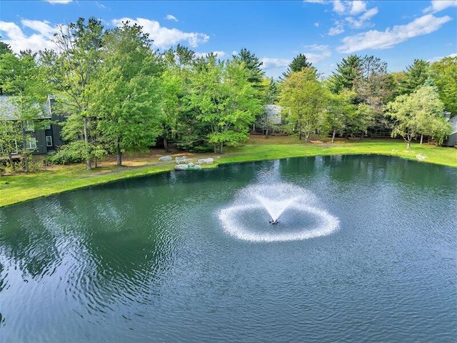 216 Snow Ridge Cir, Lake Harmony, PA 18624 - water view