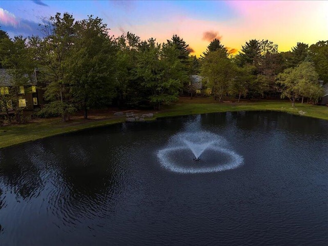216 Snow Ridge Cir, Lake Harmony, PA 18624 - water view