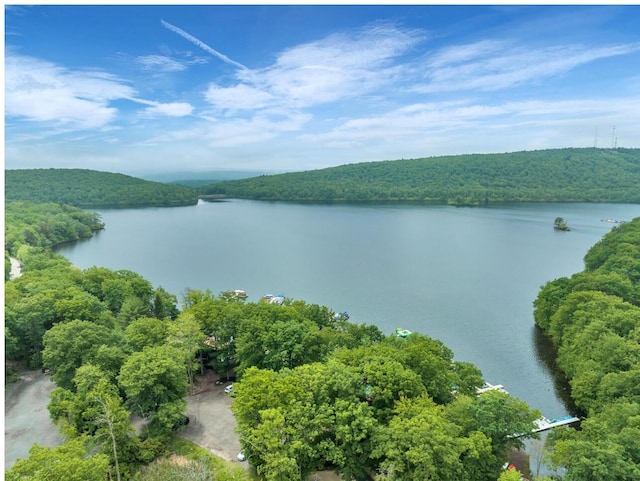 216 Snow Ridge Cir, Lake Harmony, PA 18624 - water view with a forest