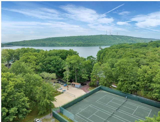 216 Snow Ridge Cir, Lake Harmony, PA 18624 - drone / aerial view of a forest and a nearby body of water