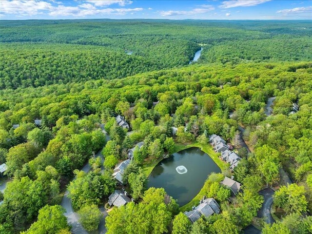 216 Snow Ridge Cir, Lake Harmony, PA 18624 - aerial overview of property's location with a forest and a nearby body of water
