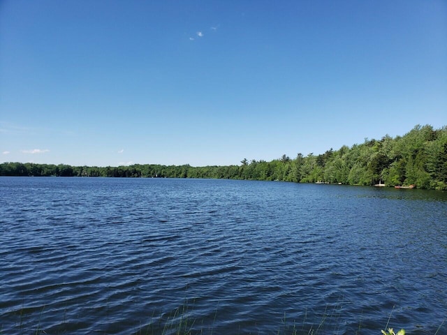 view of water feature with a forest view