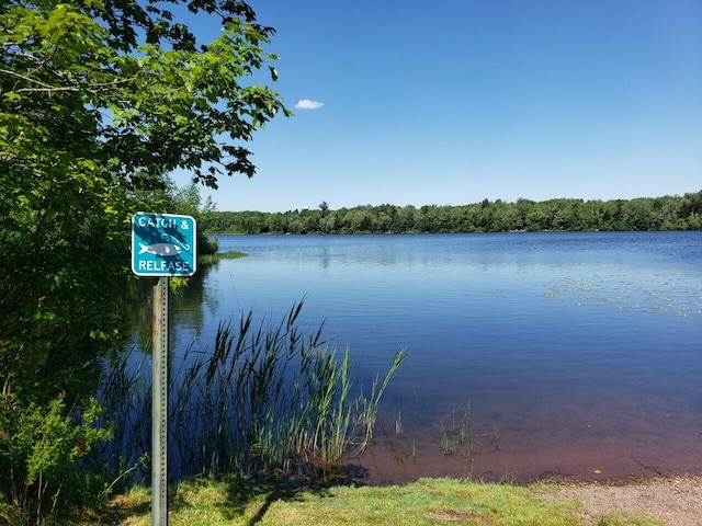 view of water feature featuring a view of trees