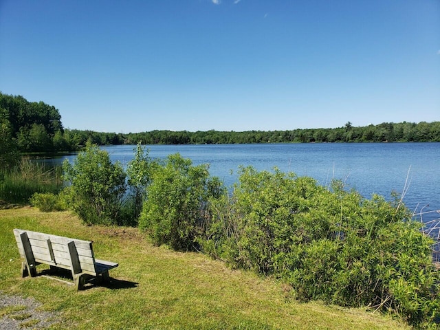 property view of water with a forest view