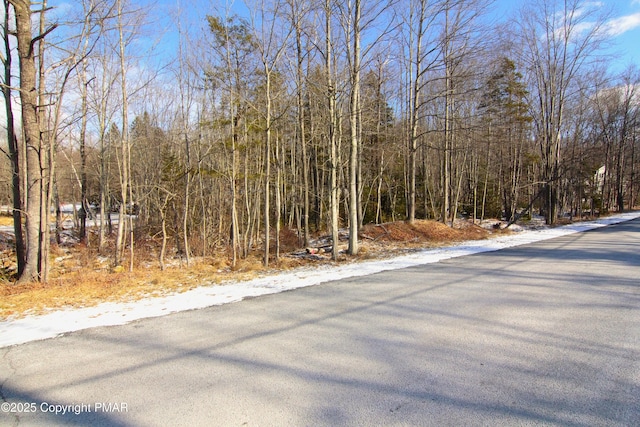 N Arrow Dr, Mount Pocono PA, 18347 land for sale