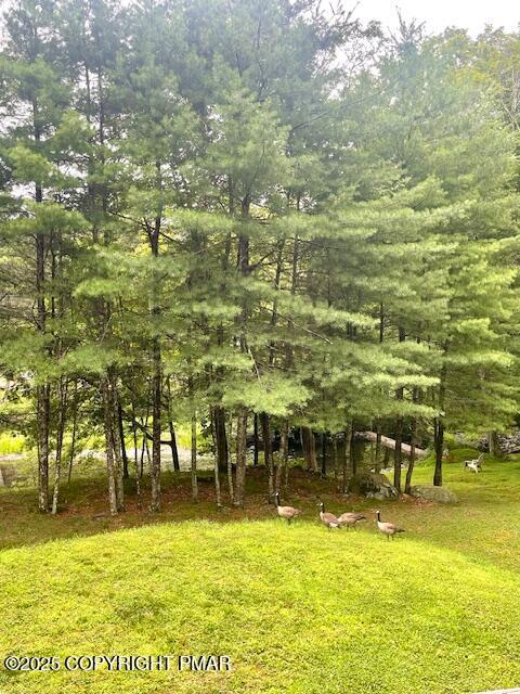 2146 Milford Rd, Bushkill, PA 18324 - photo 44