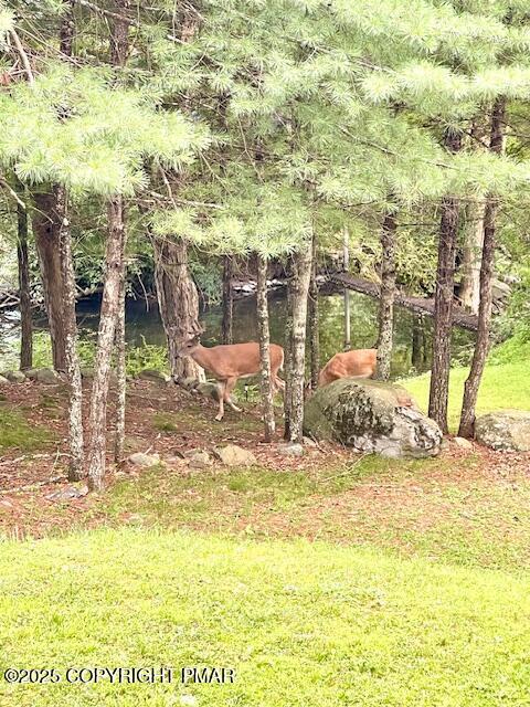 2146 Milford Rd, Bushkill, PA 18324 - photo 54