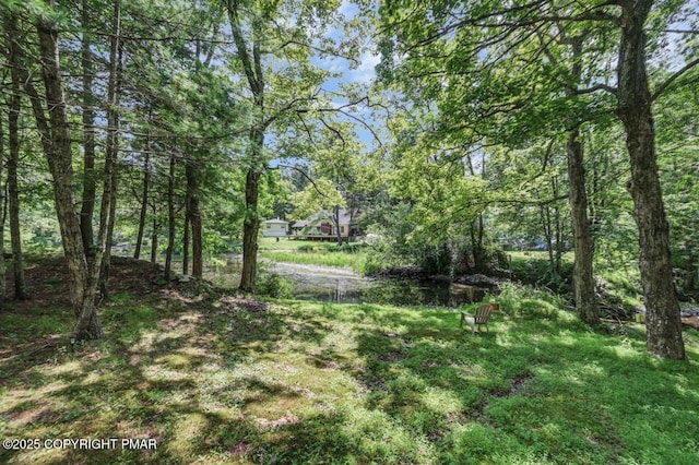 2146 Milford Rd, Bushkill, PA 18324 - photo 43