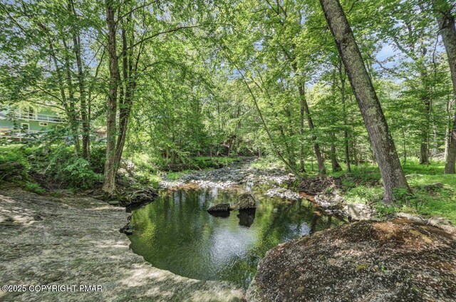 2146 Milford Rd, Bushkill, PA 18324 - photo 41