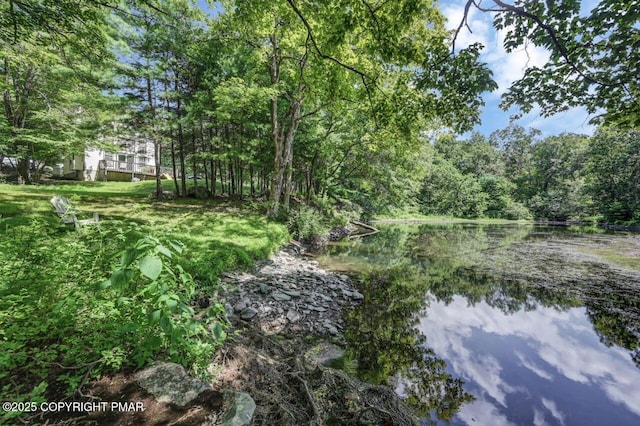 2146 Milford Rd, Bushkill, PA 18324 - photo 42