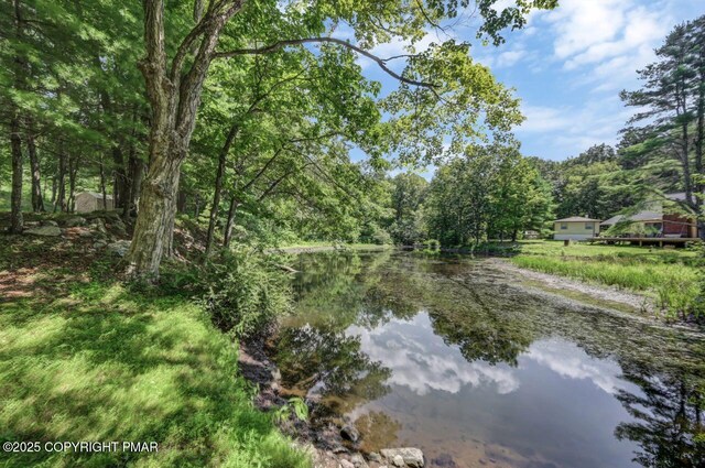 2146 Milford Rd, Bushkill, PA 18324 - photo 36