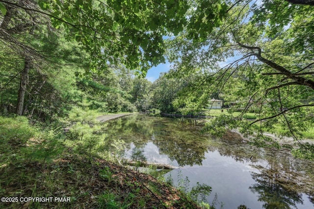 2146 Milford Rd, Bushkill, PA 18324 - photo 49