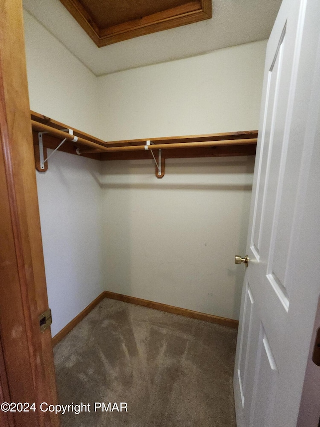 spacious closet featuring carpet flooring