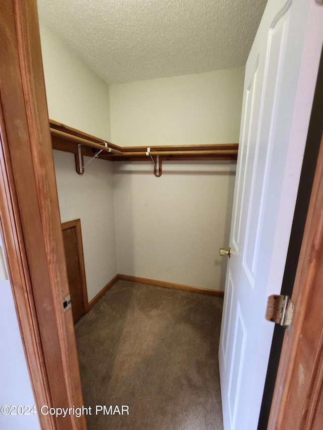 spacious closet featuring carpet floors