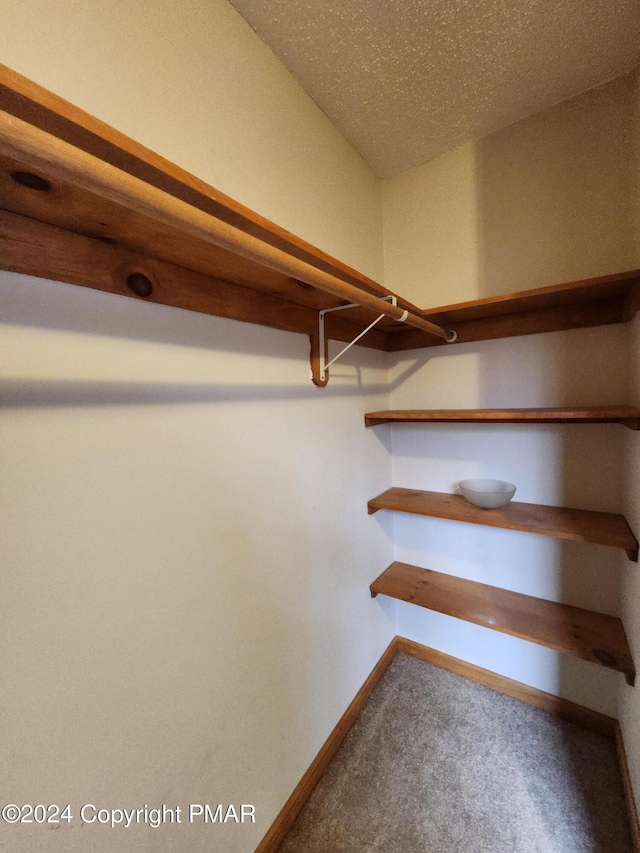 walk in closet featuring carpet